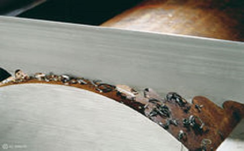 张家界带锯床线速度设定过高，为什么会导致带锯条齿尖发热加速锯条的磨损？